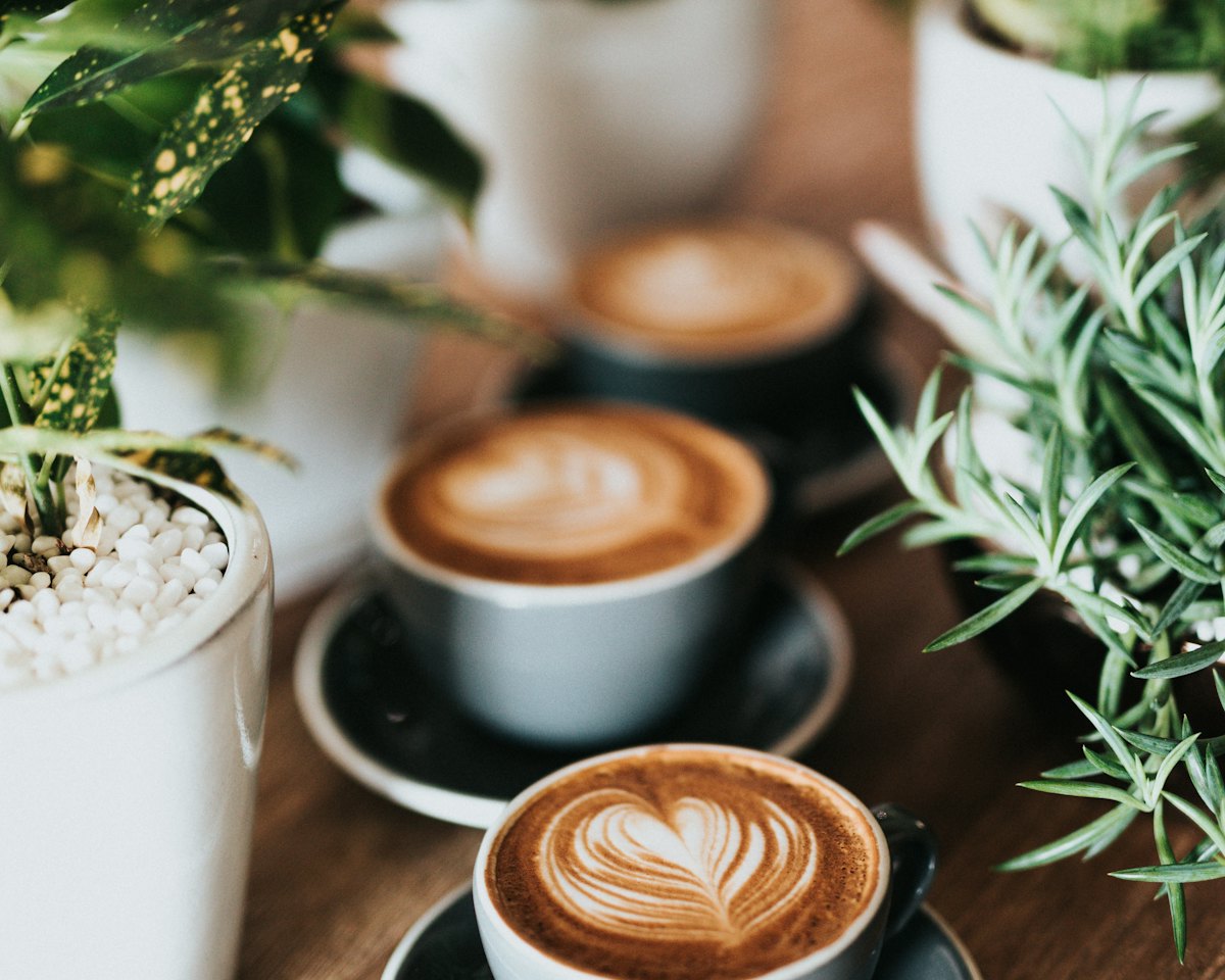 Flat whites on the counter